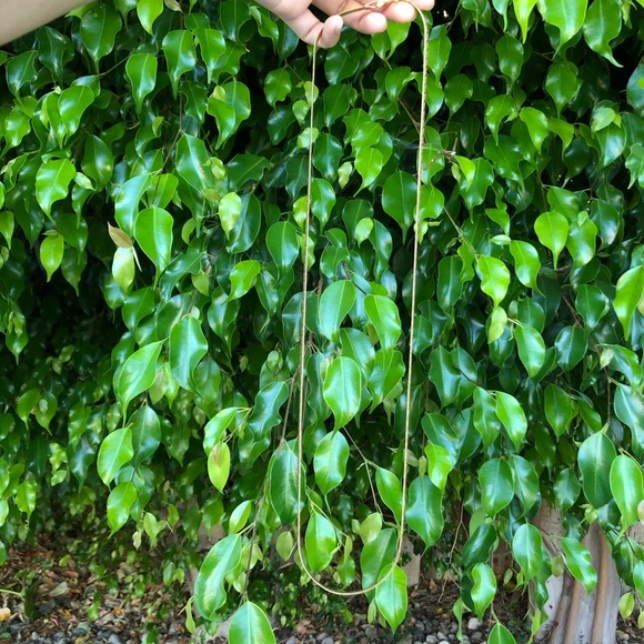 Napier Vintage Long Necklace - Picture 5 of 7